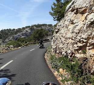 Tourfoto mit Chopper Tours Mallorca