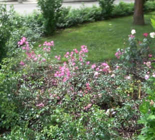 Historische Stadtmauer