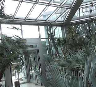 Tropicarium - Trockentropen