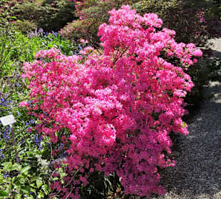 Eindrücke vom Rundgang durch den Berggarten