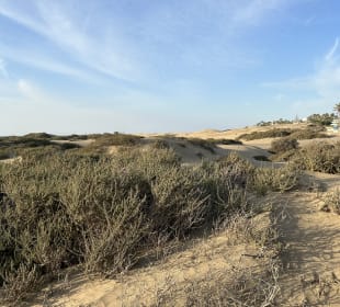 Dünen von Maspalomas
