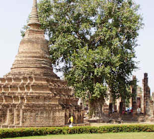 Sukhothai 