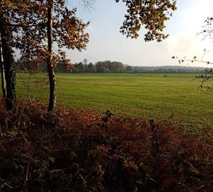Wunderschöne Ausblicke