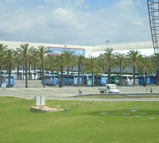 Lotnisko w palma d.m.