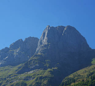 Was für ein Blickfang