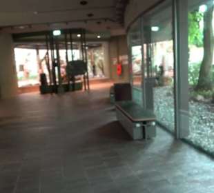 Tierpark Hellabrunn - Welt der Affen