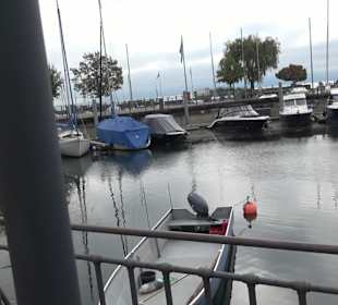 Yachthafen Langenargen