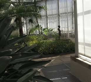 Palmenhaus 