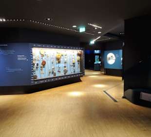 Impressionen aus dem Aquazoo Löbbecke Museum