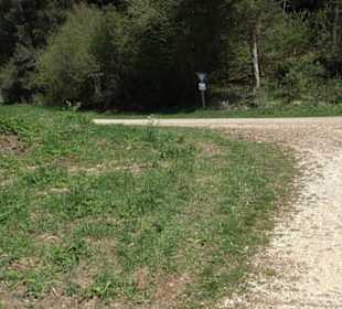 Premiumwanderweg Hochgehschätzt