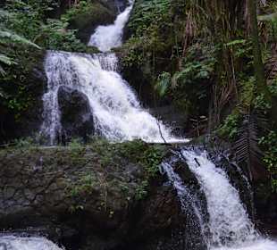 Hawaii Tropical Botanical Garden