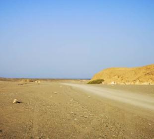 BBQ Dinner - Nighttour powerd by  E-Motion