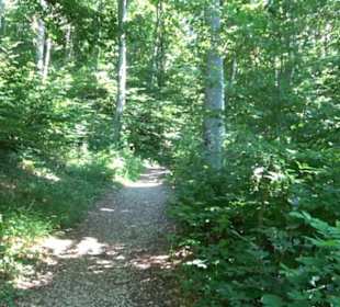 Ruine Hohenmelchingen