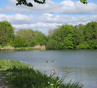 Eindrücke vom Rundgang im Seenpark