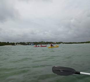 Vor Isabela mit dem Kajak unterwegs