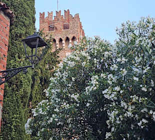 Lazise Scaligo Scaligero