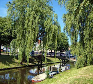 Ein Rundgang durch die "Rosenstadt" im Sommer 