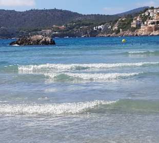 Strand Paguera/Peguera