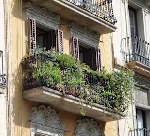 Eindrücke aus dem Barri Gòtic