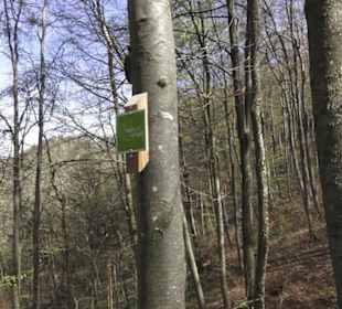 Wanderweg Hochgehkämpft