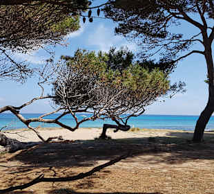 Strand Canyamel
