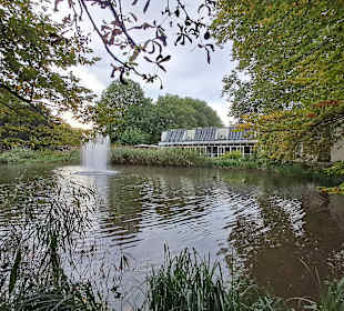 Kurpark Illingen in Illingen