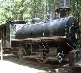 Holzfäller Museum - Lokomotive