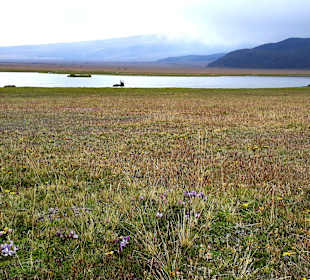 Cotopaxi Nationalpark