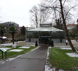 Blühendes Barock im Winter