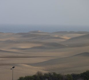 Dünenlandschaft zwischen Playa del Ingles und Maspalomas