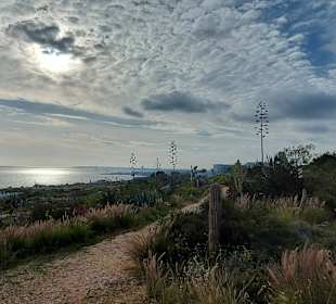 Kakteengarten am Skulpturenpark