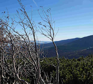 Riesengebirge/Karkonosze