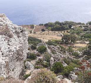 Dingli Cliffs in Dingli