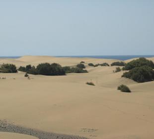 Wydmy w Maspalomas