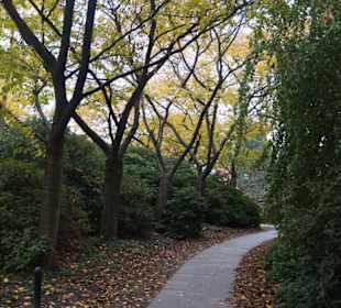 Parkanlage Planten un Blomen