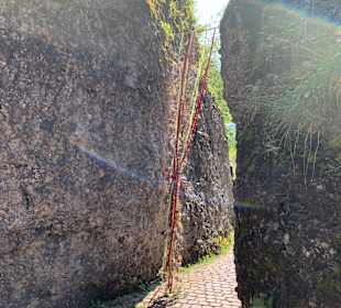 Wandern Rigi Kaltbad