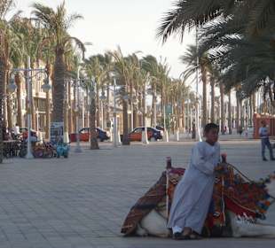 Promenada w ciągu dnia