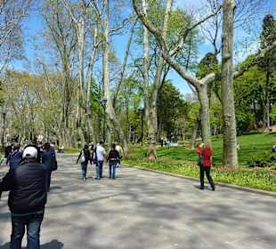 Gülhane Park