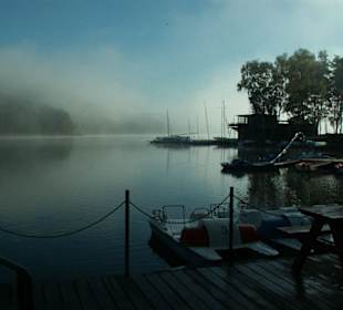 Morgennebel am Jachthafen Sraré Splavy