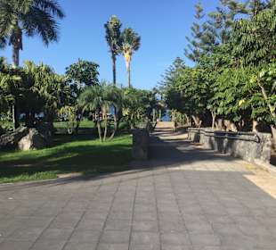 Wandern Puerto de la Cruz