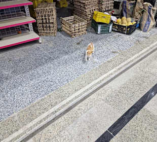 Obst- und Gemüsemarkt Dahar