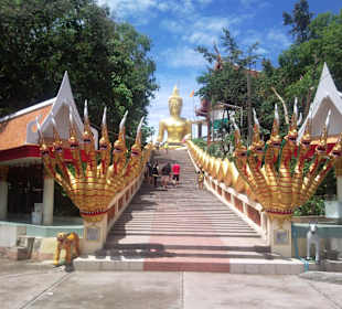 Ja, das war in der Regenzeit