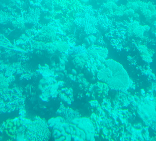 U-Boot Tour Hurghada