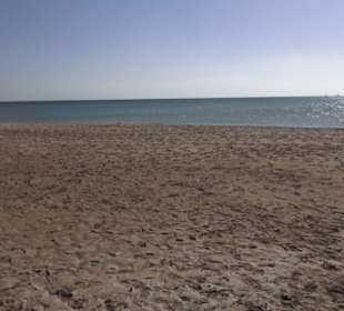 Stadtbesichtigung El Gouna