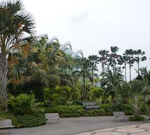 Gardens by the Bay