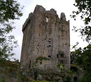 Blarney Castle