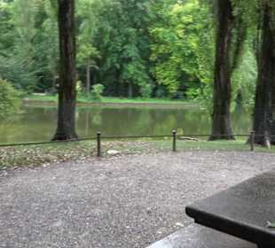 Englischer Garten