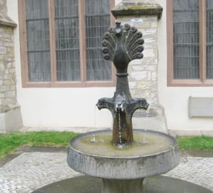 Domkreuzgang / Pfauenbrunnen