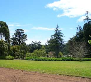 Blandys Gardens/Palheiro Gardens