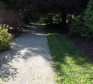 Botanischer Garten München